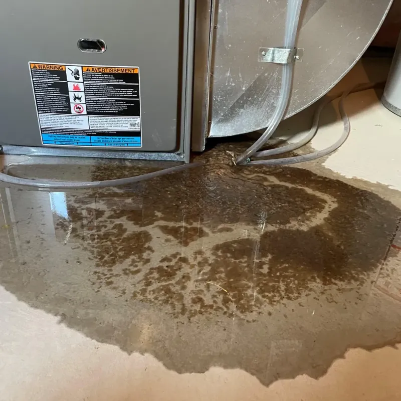 Appliance Leak Cleanup in Sea Breeze, NC